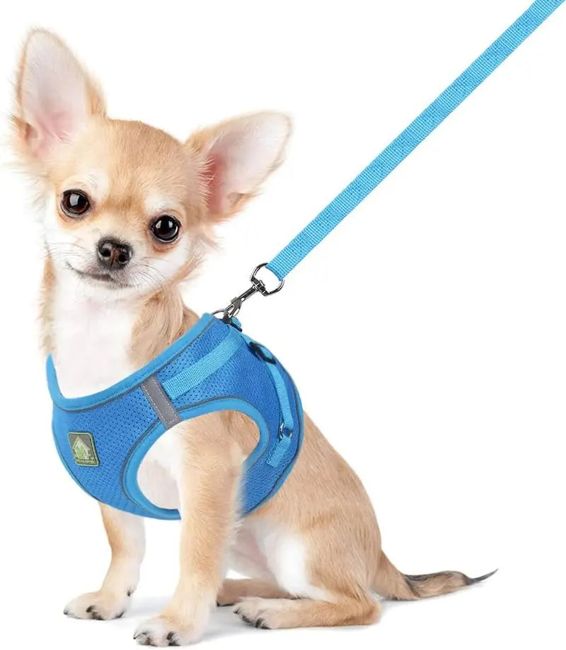 Explore the Outdoors with the FEimaX No Pull Adjustable Dog Harness and Leash Set - Breathable, Reflective, and Perfect for Small to Medium Pet Adventures! FEimaX