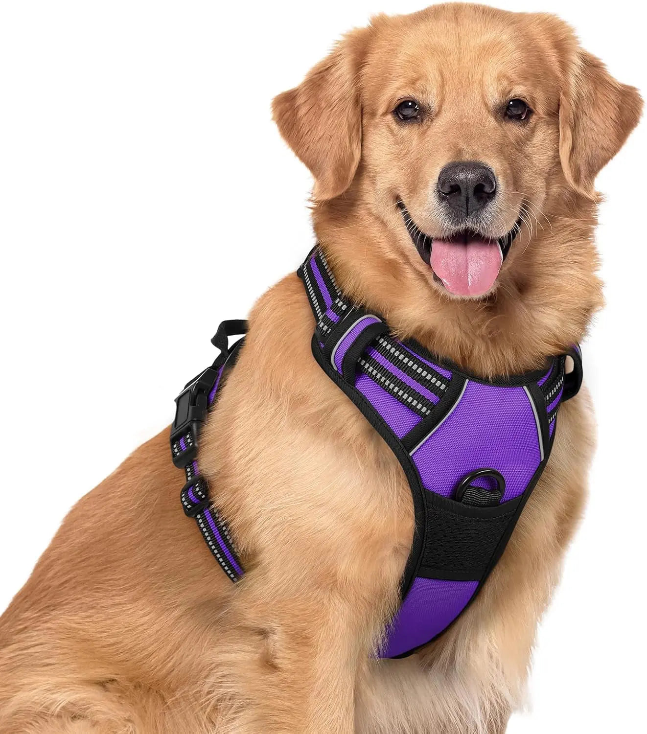 Rabbitgoo Dog Harness No Pull with 2 Leash Clips GLOBEGOU CO.,LTD