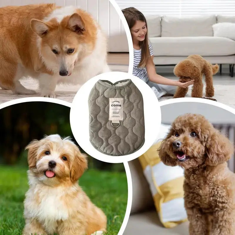 SnuggleShield Winter Coat – Warmth Meets Walk-Ready Convenience for Small Dogs & Cats Excel Pets