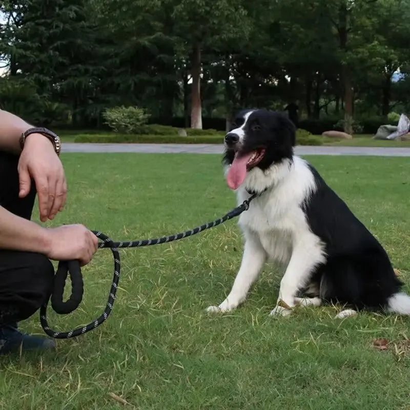 Ultimate Safety and Comfort: Reflective Nylon Dog Leash for All Stages - Tangle-Free and Explosionproof! other