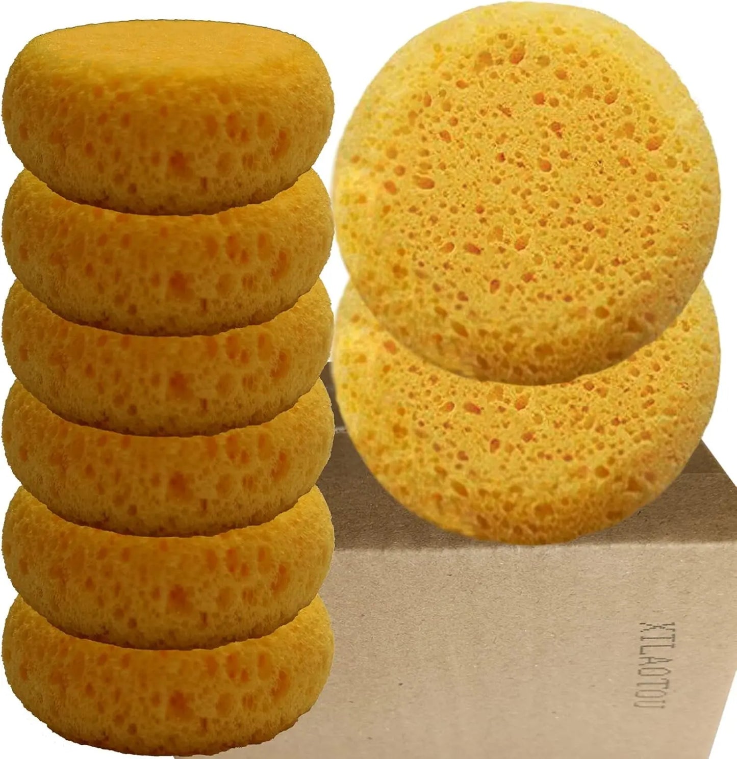 Box of 12 Coarse Hole Tack Sponges HUABIAO