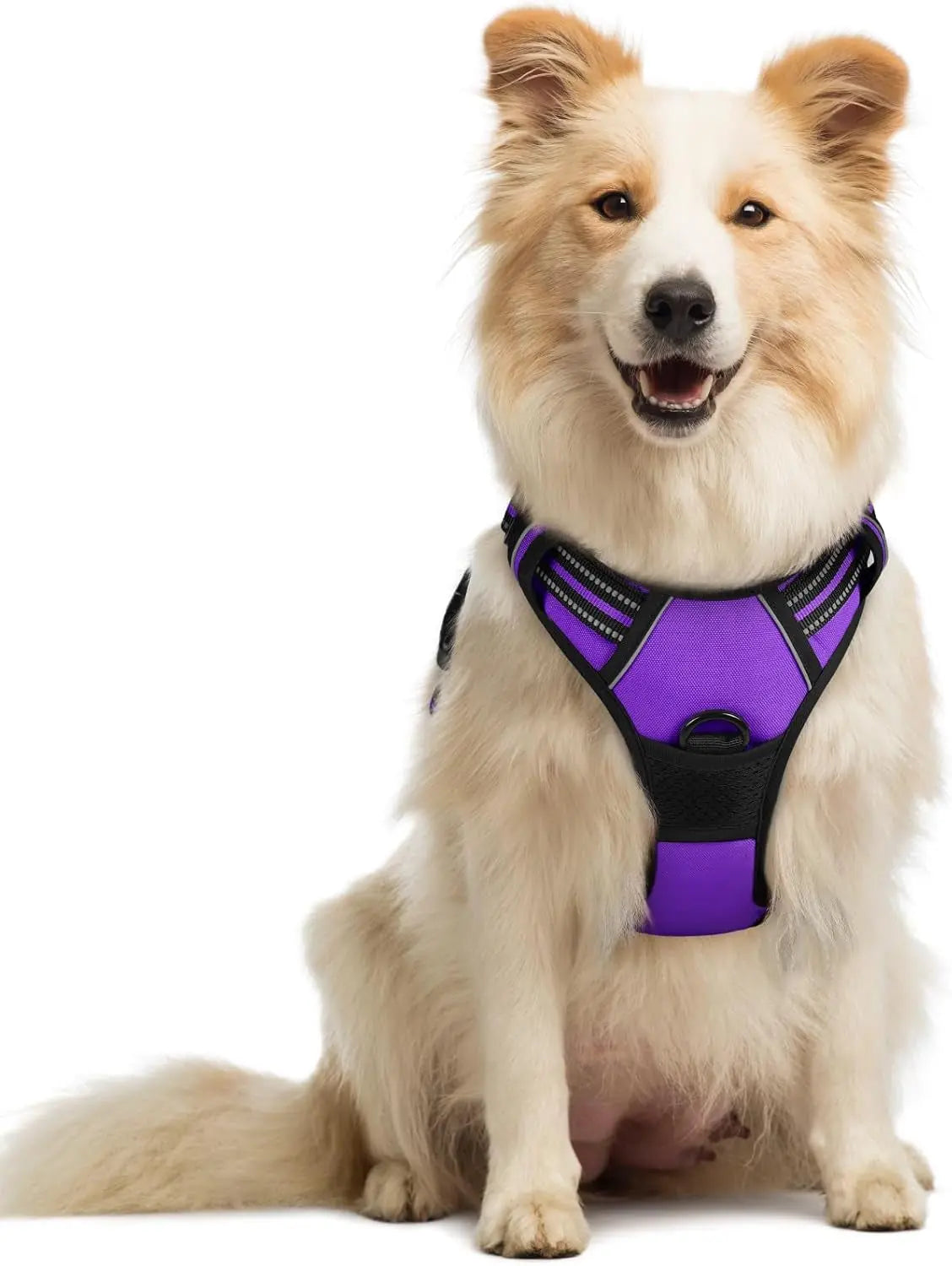 Rabbitgoo Dog Harness No Pull with 2 Leash Clips GLOBEGOU CO.,LTD