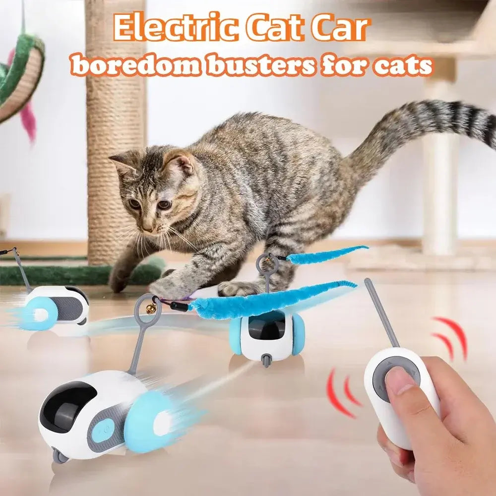 Remote-controlled rolling chase car toy entertaining playful cat indoors