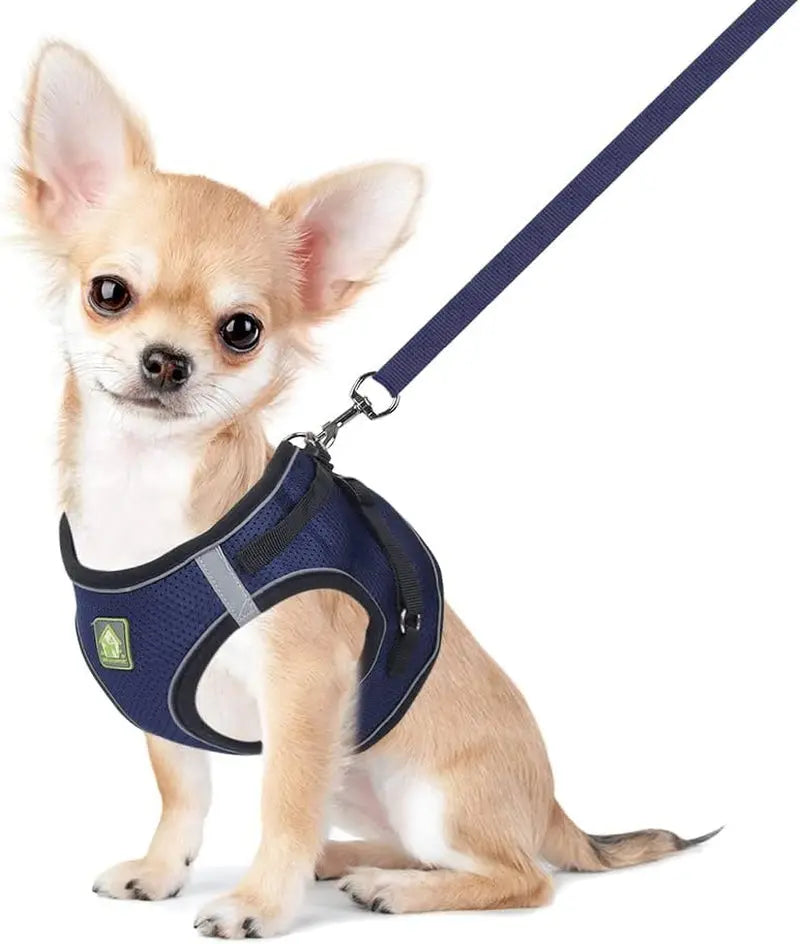 Explore the Outdoors with the FEimaX No Pull Adjustable Dog Harness and Leash Set - Breathable, Reflective, and Perfect for Small to Medium Pet Adventures! FEimaX