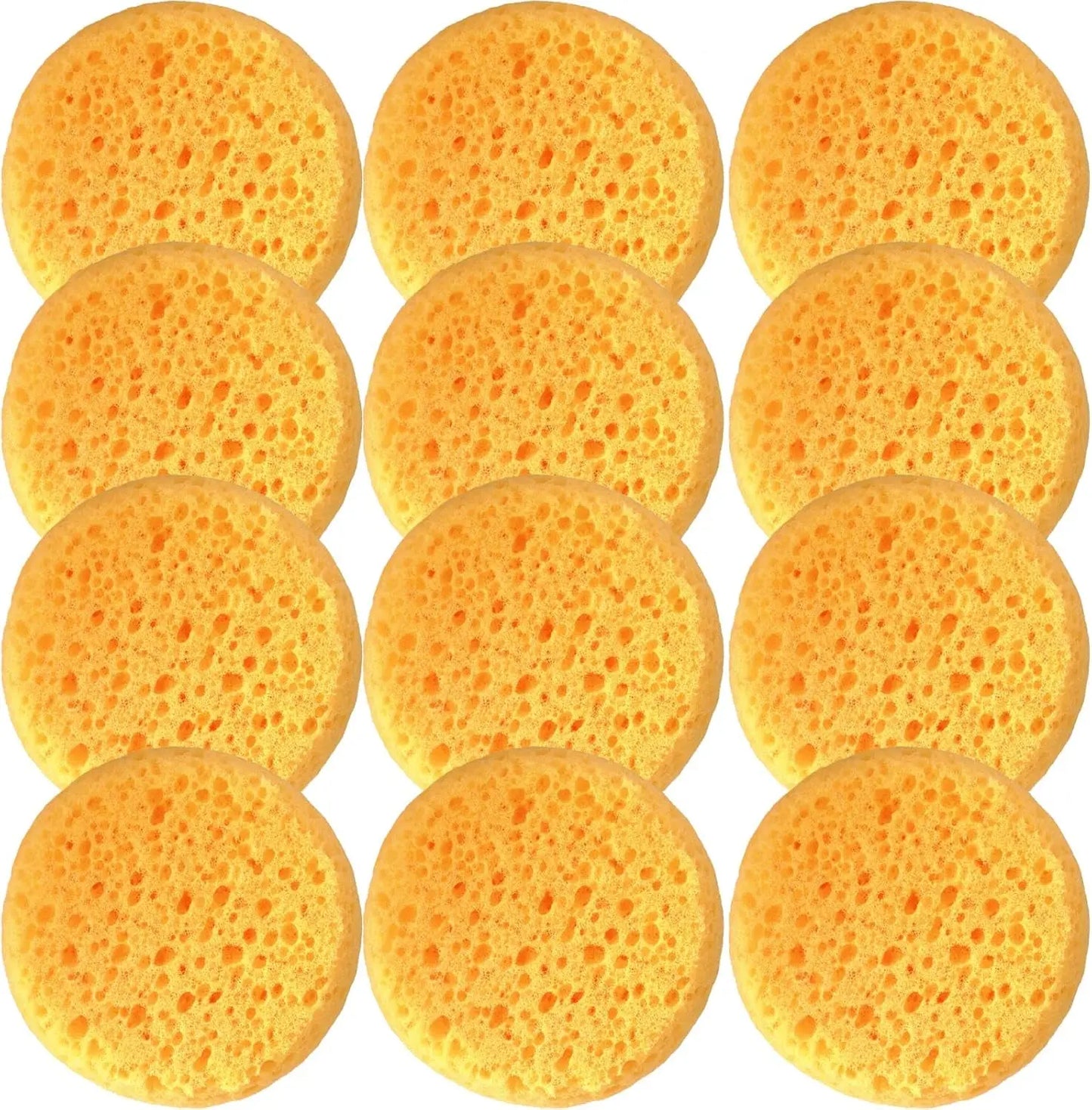 Box of 12 Coarse Hole Tack Sponges HUABIAO