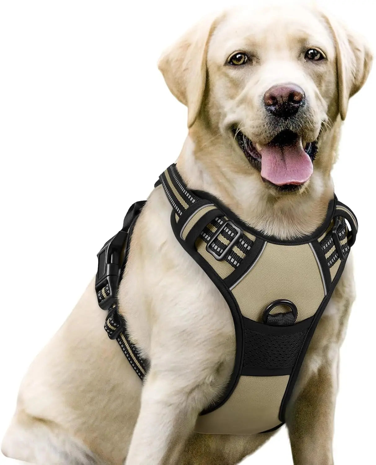 Rabbitgoo Dog Harness No Pull with 2 Leash Clips GLOBEGOU CO.,LTD