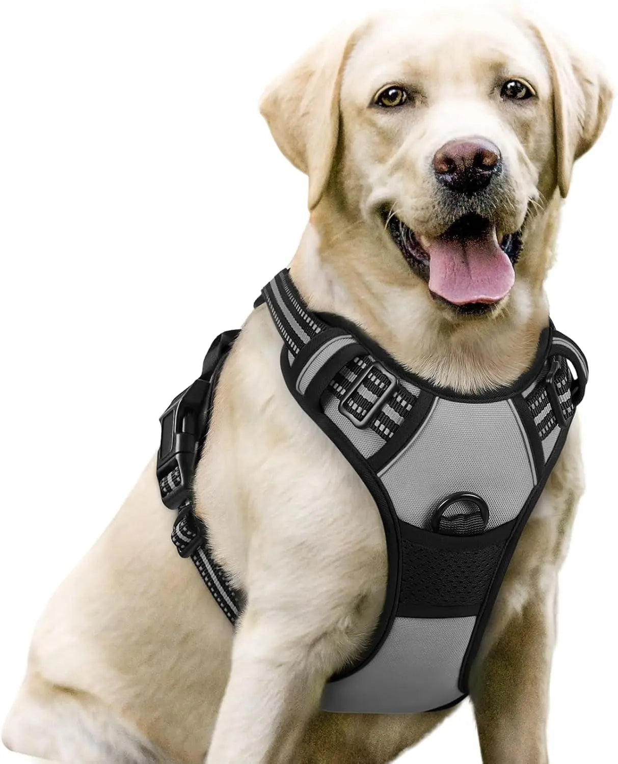 Rabbitgoo Dog Harness No Pull with 2 Leash Clips GLOBEGOU CO.,LTD