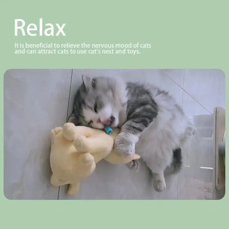 Catnip Bliss Spray – Natural Mood Booster for Happy, Relaxed Cats Excel Pets
