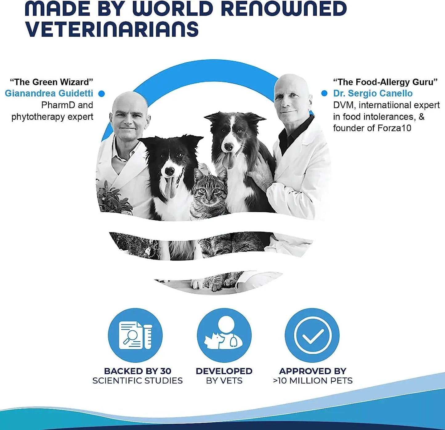 Forza10 Legend Sensitive Skin Dog Food, Grain Free Dry Dog Food for Sensitive Skin with Curative Herbs, Wild Caught Anchovy Flavor Allergy Dog Food, for Adult Dogs, Pack of 1 (5 Pounds) Forza10