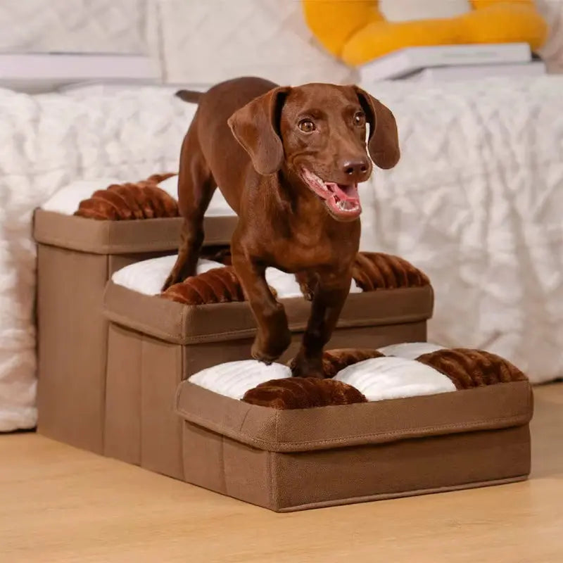 Brown dachshund dog climbing on foldable soft cushioned pet stairs with checkerboard pattern and hidden storage.