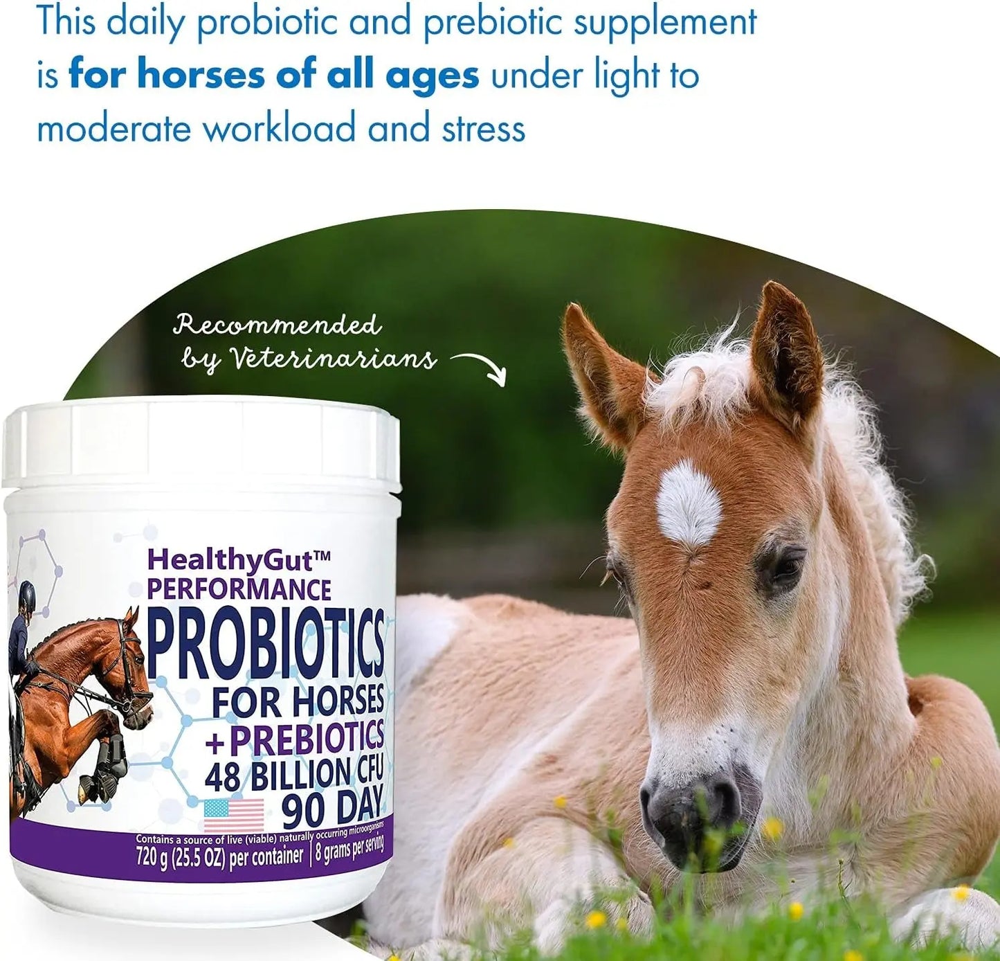 Healthygut™ Probiotics for Horses - All-Natural Dietary Supplement for Enhanced Digestive Performance (90-Day Supply) Equa Holistics LLC.