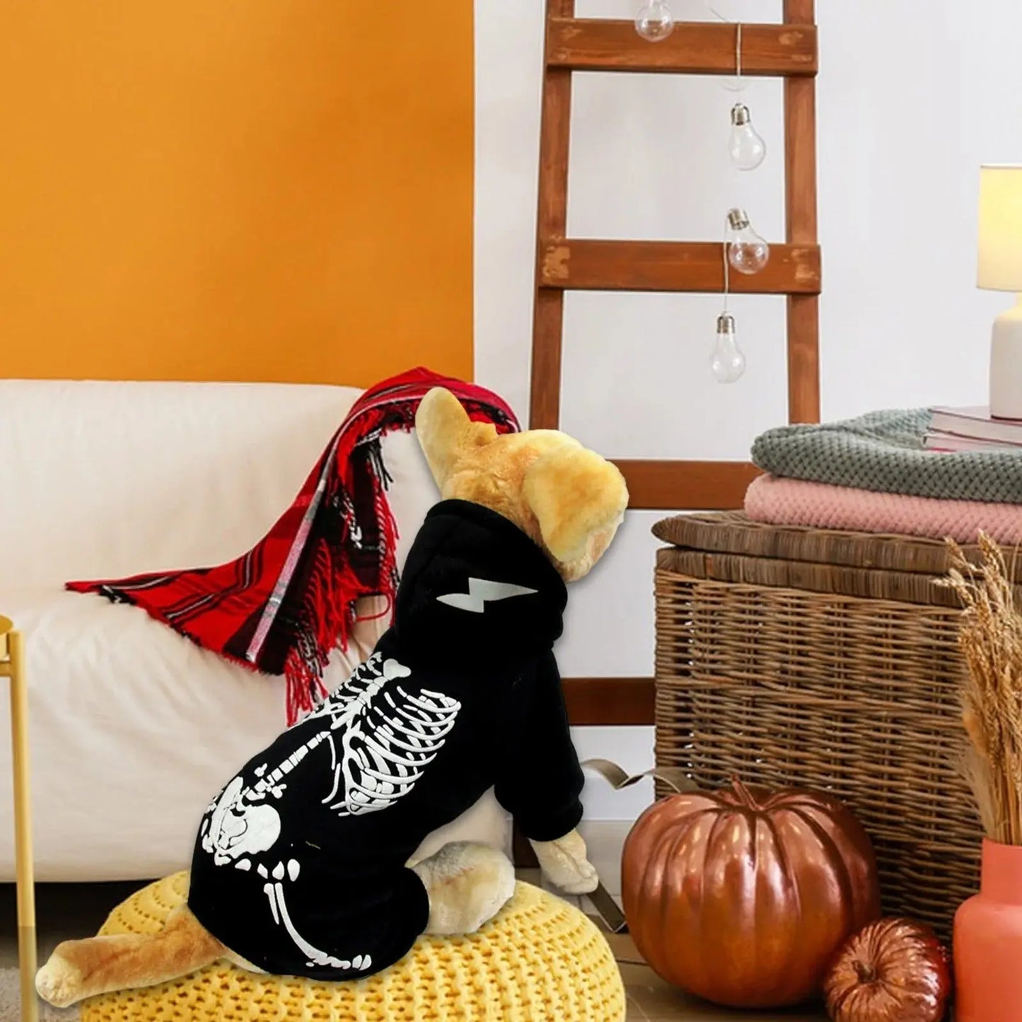 Halloween Gifts PRETXORVE Black Dog Costume For Halloween Cosplay Adorable Pet Outfit For Small Medium And Large Dogs - Animals & Pet Supplies > Pet Supplies > Pet Apparel > Pet Costumes Dog