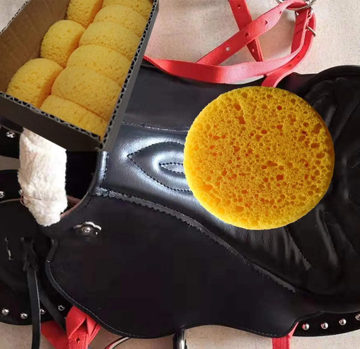 Box of 12 Coarse Hole Tack Sponges HUABIAO