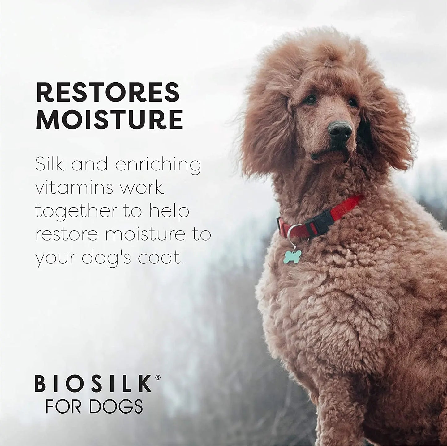 Transform Your Dog's Coat with BioSilk Silk Therapy Conditioner - Nourishing Coconut Oil Formula for Silky Smooth Fur, 12 Ounces Fetch for Pets