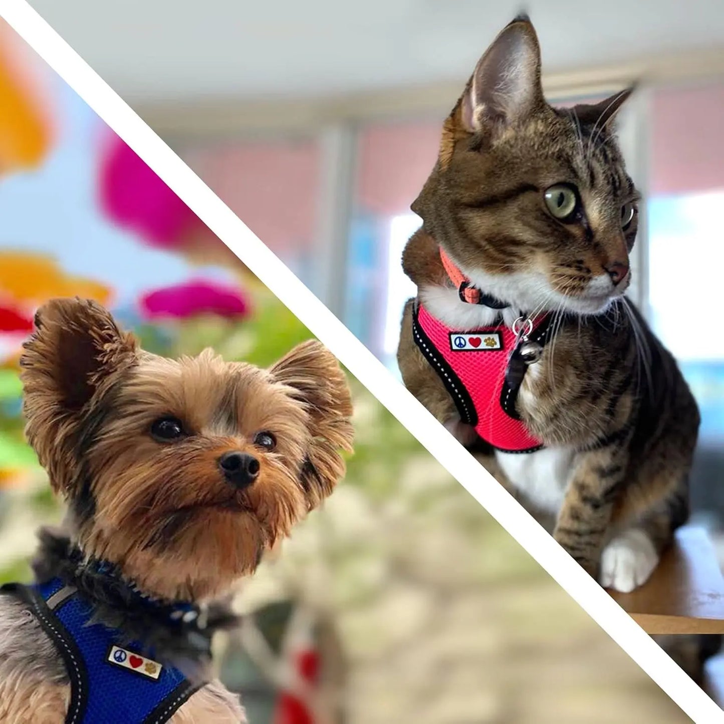 Pawtitas Dog Harness Made with Breathable Air Mesh | Pawtitas