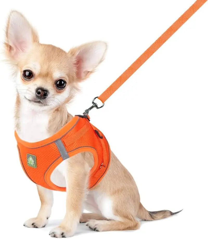 Explore the Outdoors with the FEimaX No Pull Adjustable Dog Harness and Leash Set - Breathable, Reflective, and Perfect for Small to Medium Pet Adventures! FEimaX