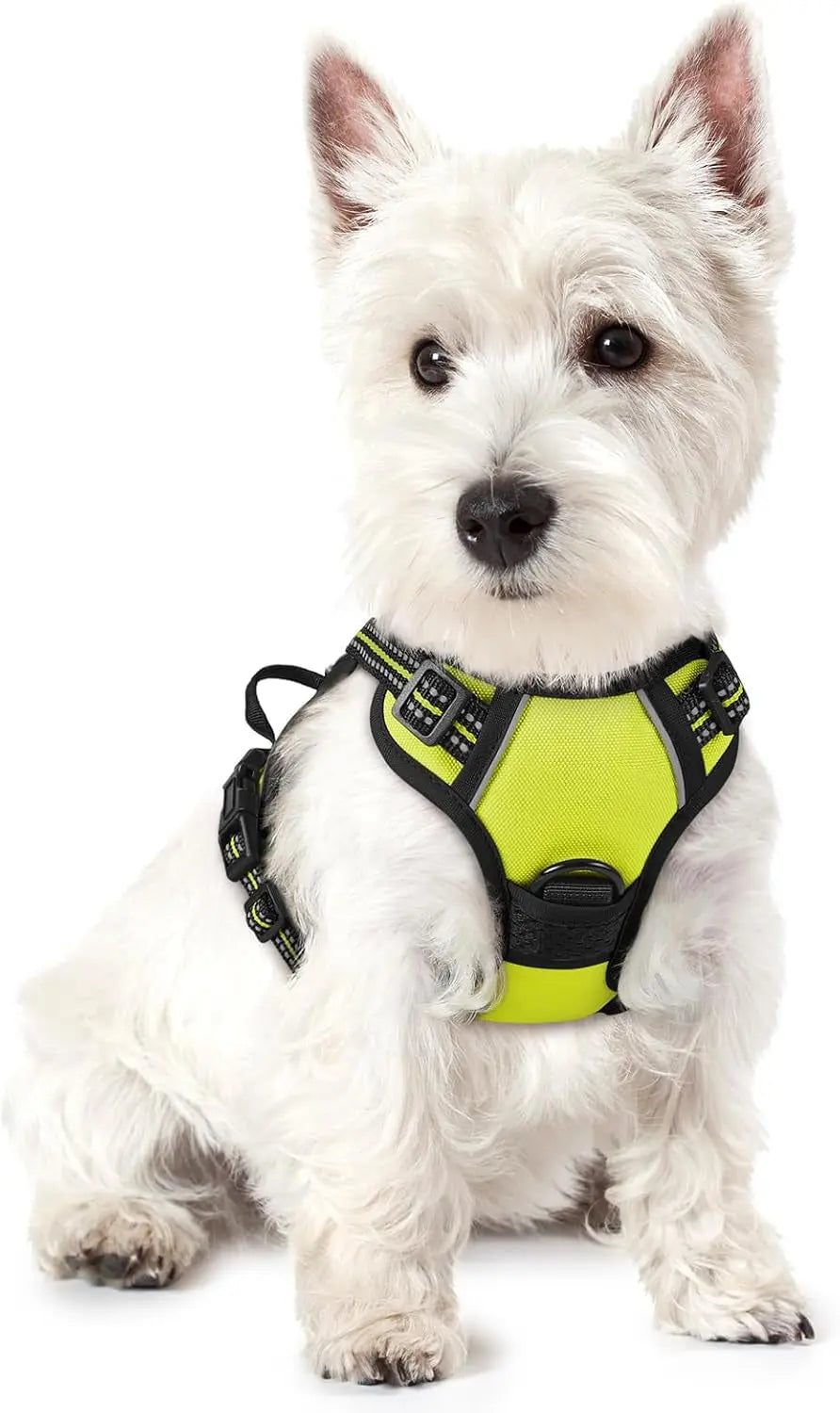Rabbitgoo Dog Harness No Pull with 2 Leash Clips GLOBEGOU CO.,LTD