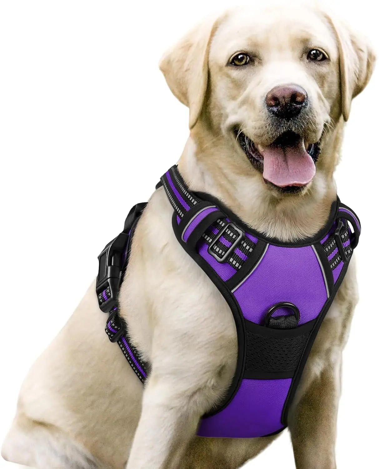 Rabbitgoo Dog Harness No Pull with 2 Leash Clips GLOBEGOU CO.,LTD