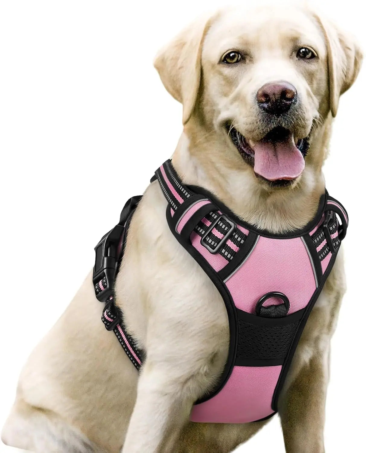 Rabbitgoo Dog Harness No Pull with 2 Leash Clips GLOBEGOU CO.,LTD