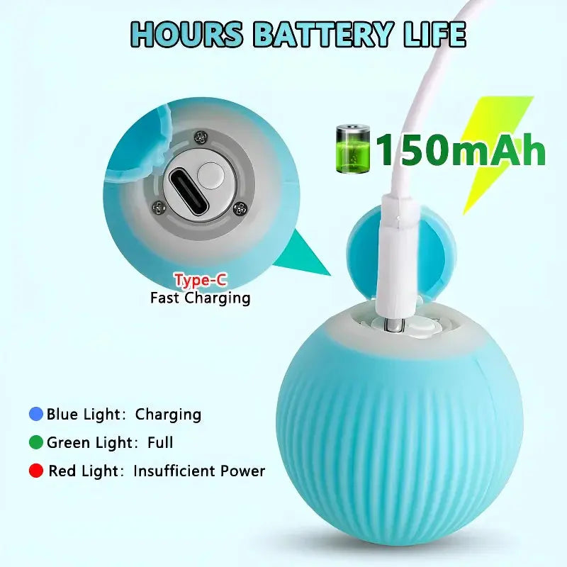 Interactive Smart Ball for Indoor Play Excel Pets