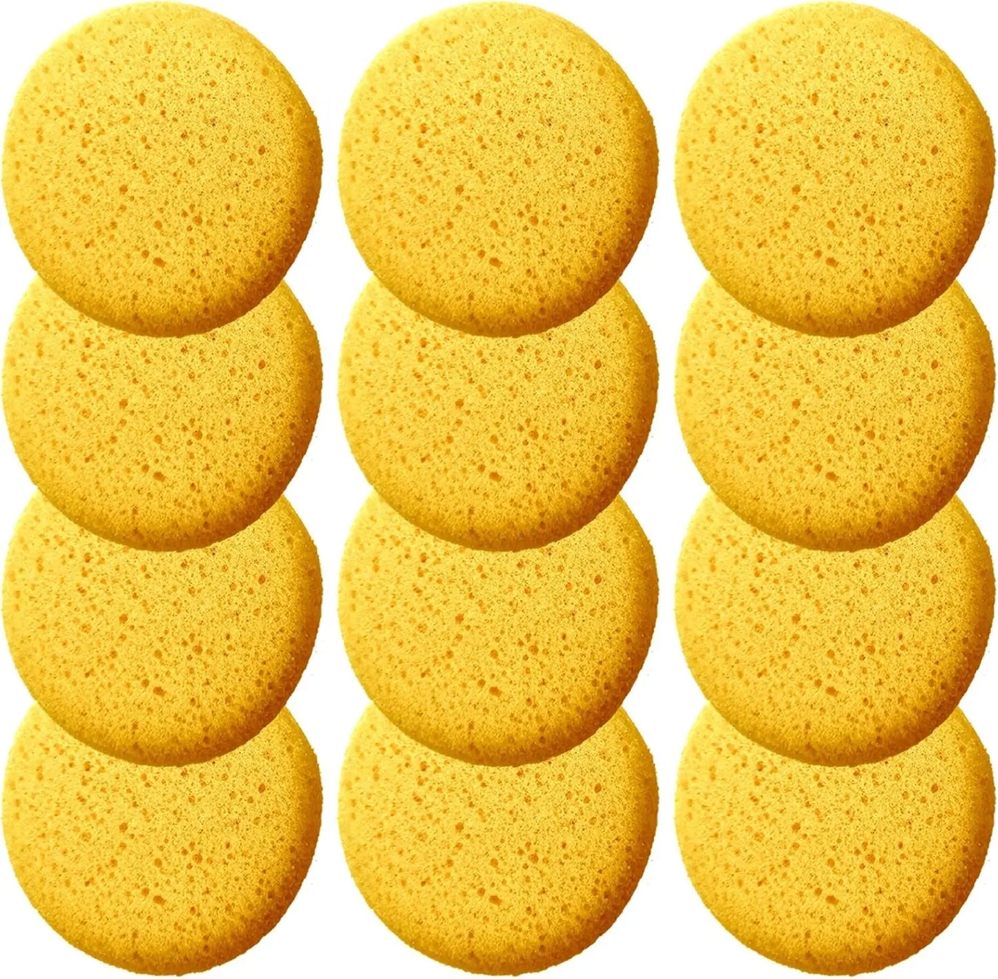 Box of 12 Coarse Hole Tack Sponges HUABIAO
