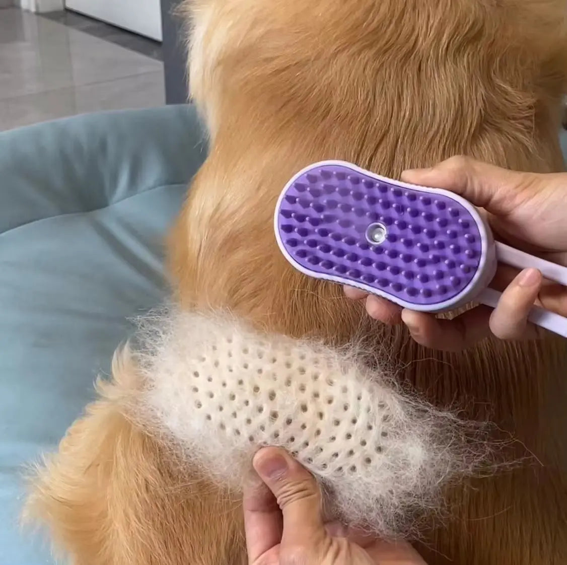 Hair Removal & Massage Electric Pet Spray Comb Excel Pets