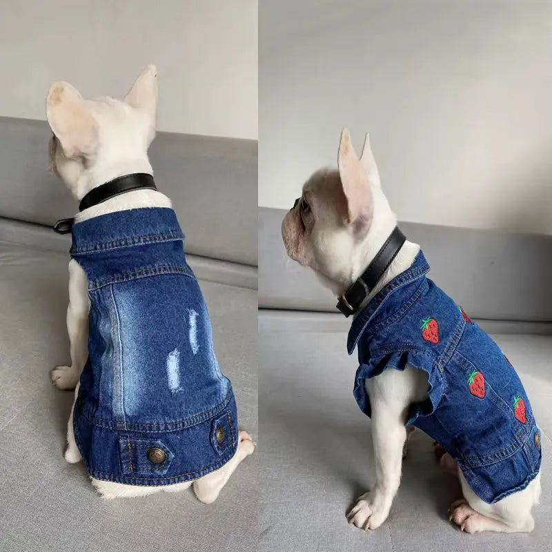 PawVibe Denim Jacket – Cool & Comfy for Trendy Pups Excel Pets