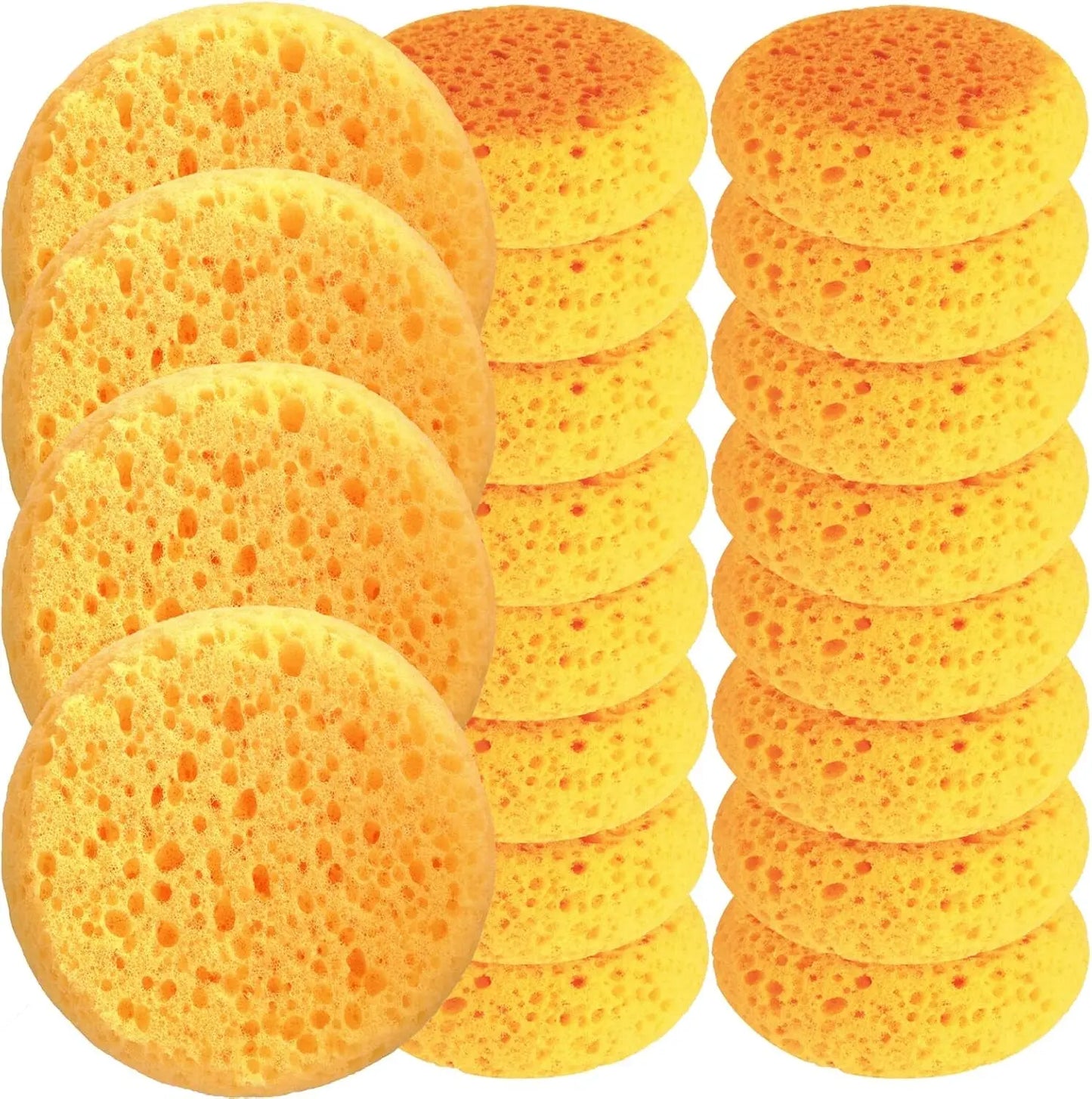 Box of 12 Coarse Hole Tack Sponges HUABIAO