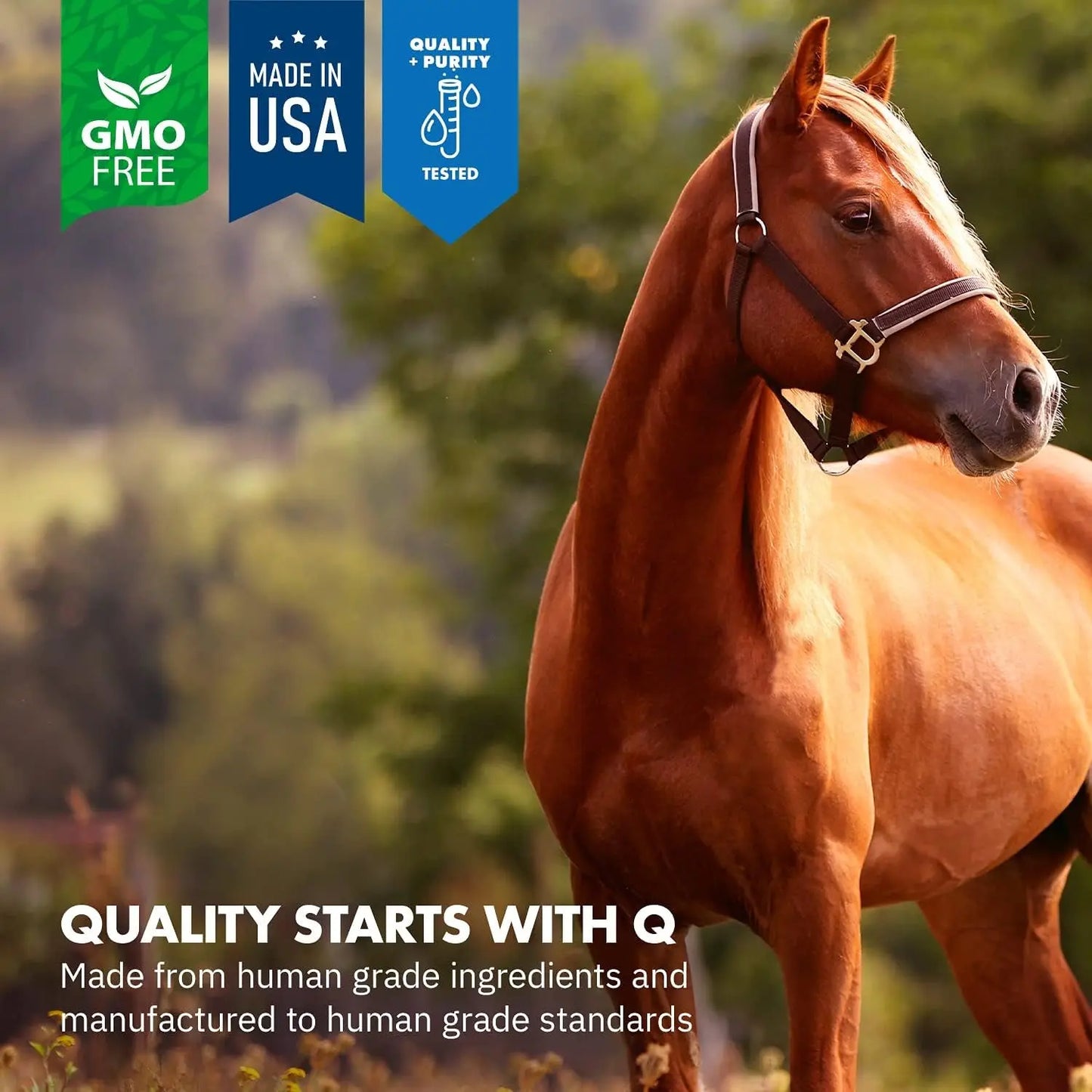 Healthygut™ Probiotics for Horses - All-Natural Dietary Supplement for Enhanced Digestive Performance (90-Day Supply) Equa Holistics LLC.