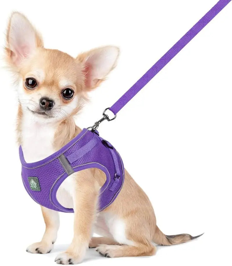 Explore the Outdoors with the FEimaX No Pull Adjustable Dog Harness and Leash Set - Breathable, Reflective, and Perfect for Small to Medium Pet Adventures! FEimaX