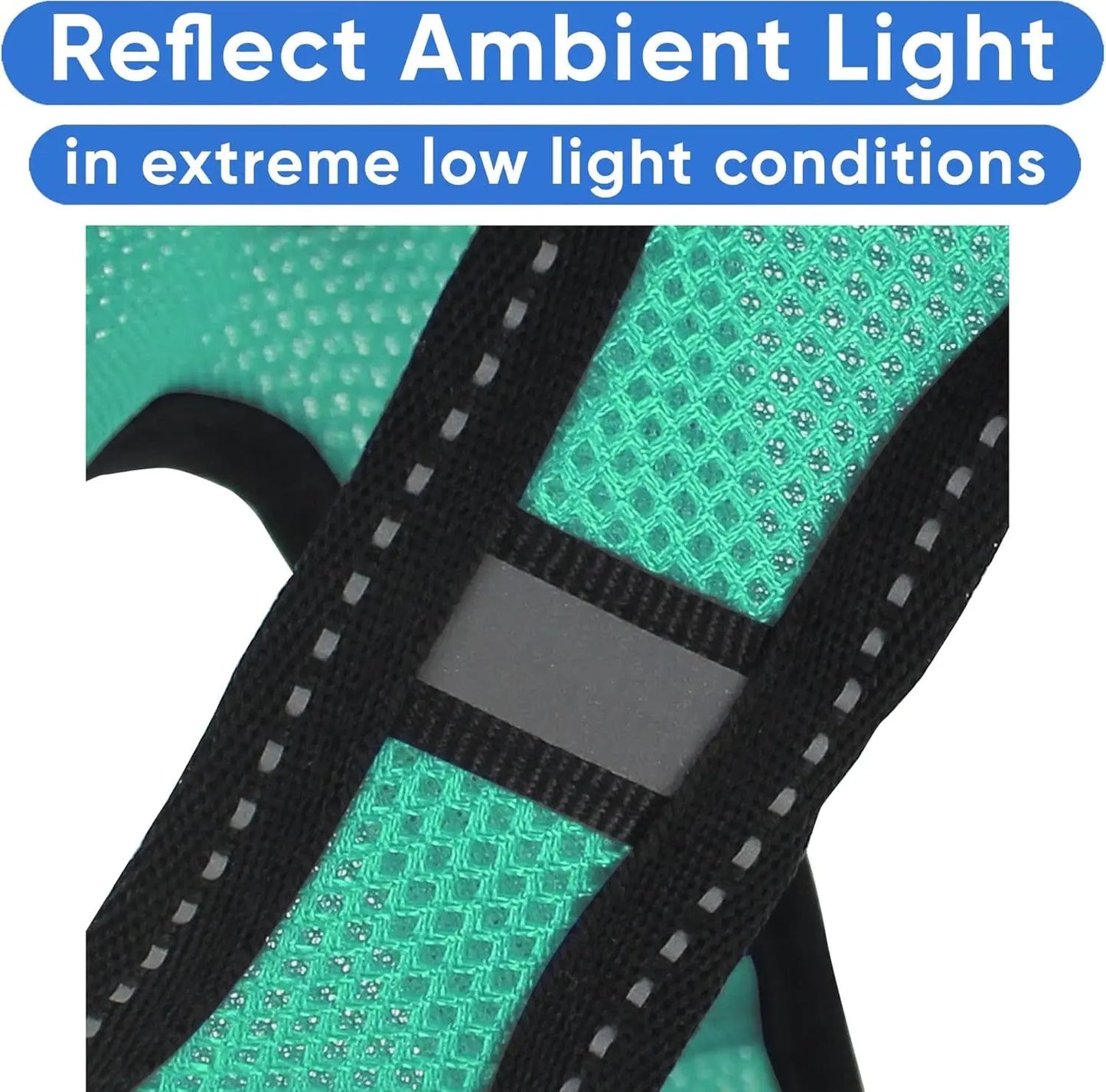 Pawtitas Dog Harness Made with Breathable Air Mesh | Pawtitas
