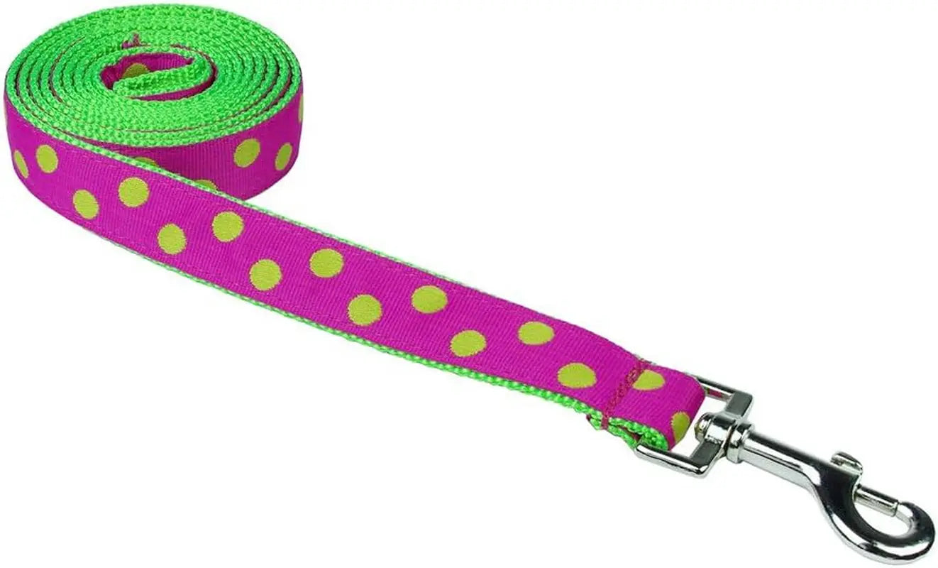 Small Fuchsia/Green Dot Dog Leash: 3/4" Wide, 4Ft Length - Made in USA. Sassy Dog Wear