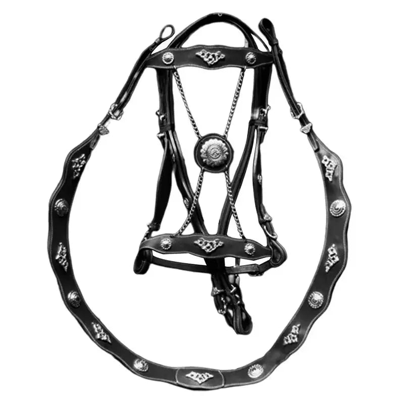 EquiElite™ PU Leather Horse Halter & Lead Rope Set – Premium Comfort, Total Control Excel Pets