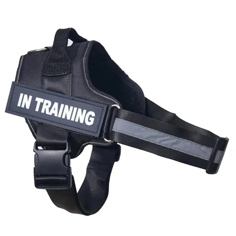 Personalized Reflective and Adjustable Dog Harness Excel Pets