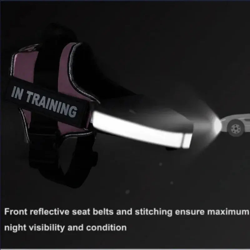 Personalized Reflective and Adjustable Dog Harness Excel Pets