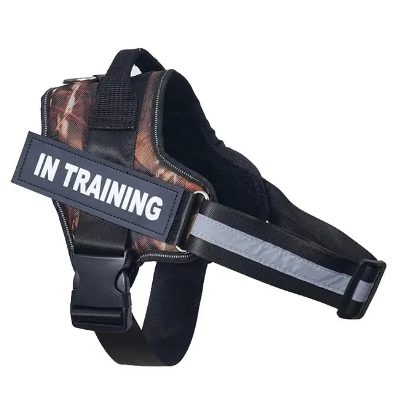 Personalized Reflective and Adjustable Dog Harness Excel Pets