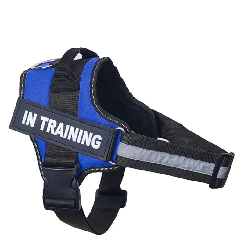 Personalized Reflective and Adjustable Dog Harness Excel Pets