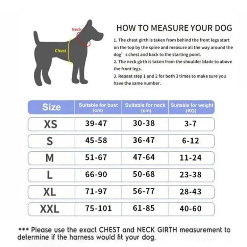 Personalized Reflective and Adjustable Dog Harness Excel Pets