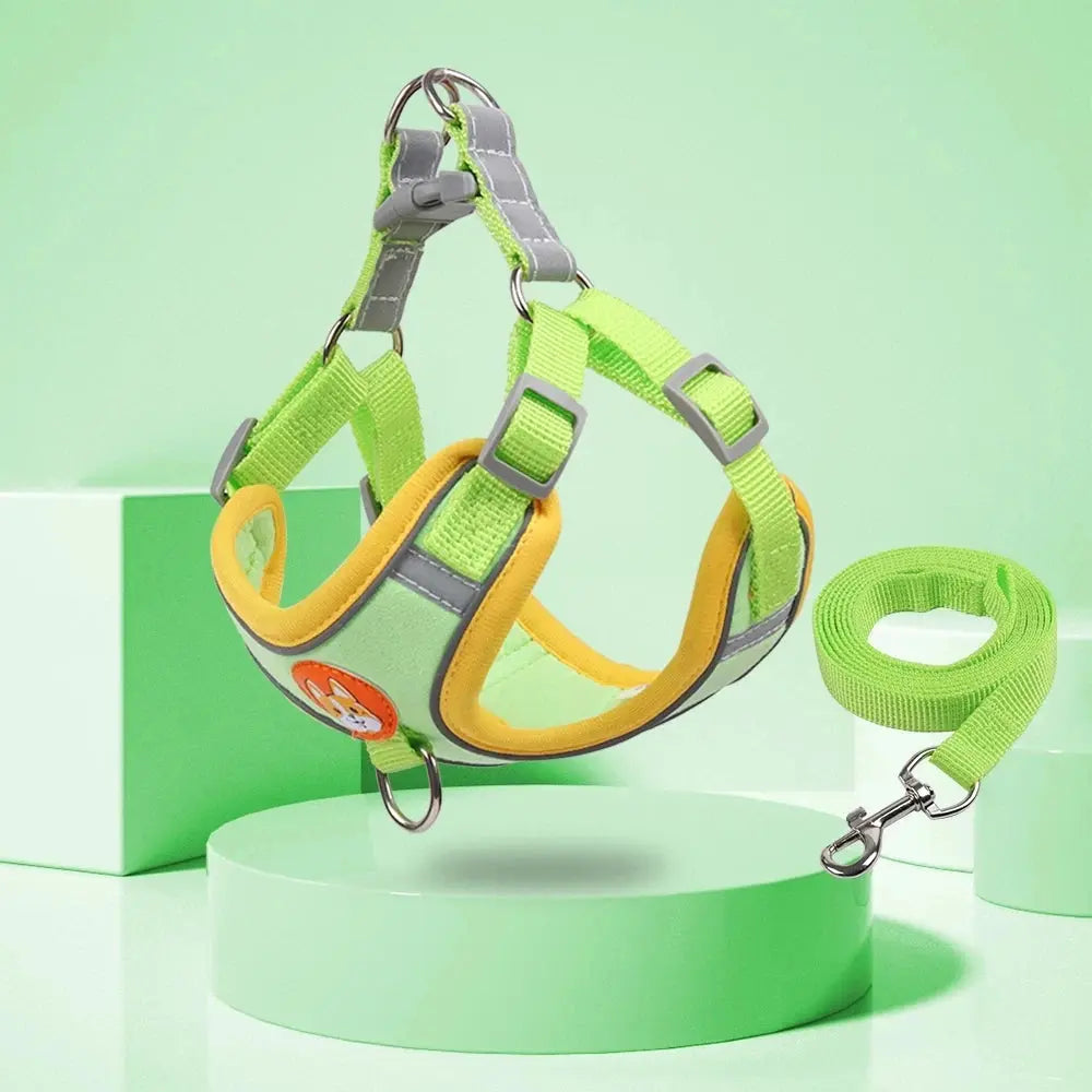 Step-in Dog Harness and Leash Set Excel Pets