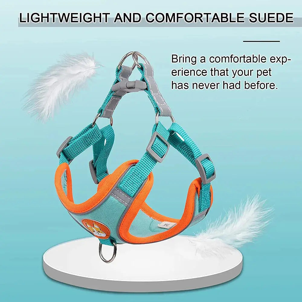 Step-in Dog Harness and Leash Set Excel Pets