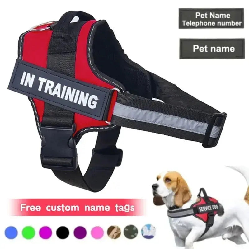 Personalized Reflective and Adjustable Dog Harness Excel Pets