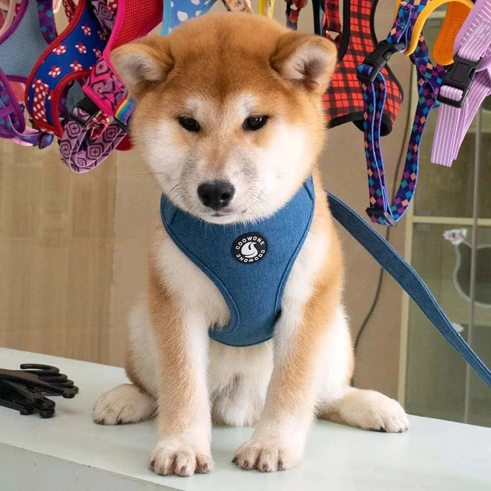 Excel Pets Collarlogo Adjustable Floral Pattern Dog Harness and Leash Set With Breathable Mesh - Animals & Pet Supplies > Pet Supplies > Pet Collars & Harnesses Dog