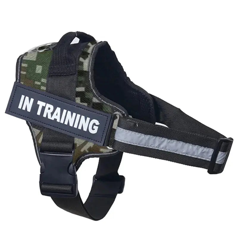 Personalized Reflective and Adjustable Dog Harness Excel Pets