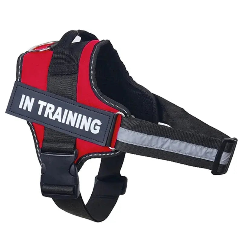 Personalized Reflective and Adjustable Dog Harness Excel Pets