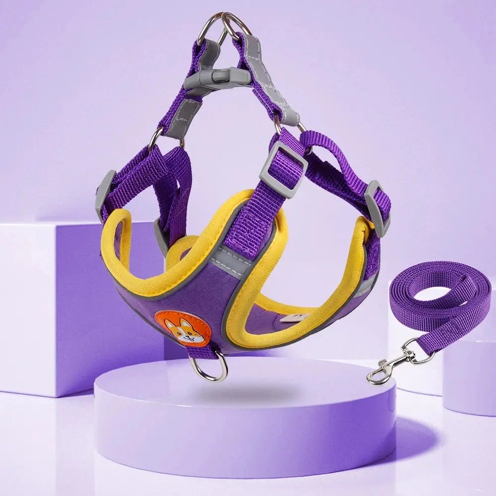 Step-in Dog Harness and Leash Set Excel Pets