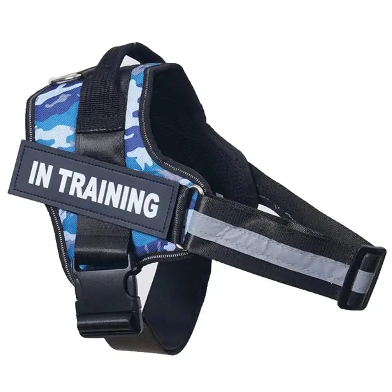 Personalized Reflective and Adjustable Dog Harness Excel Pets