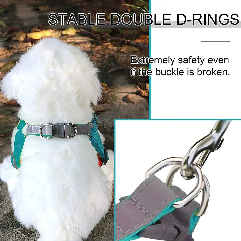 Step-in Dog Harness and Leash Set Excel Pets