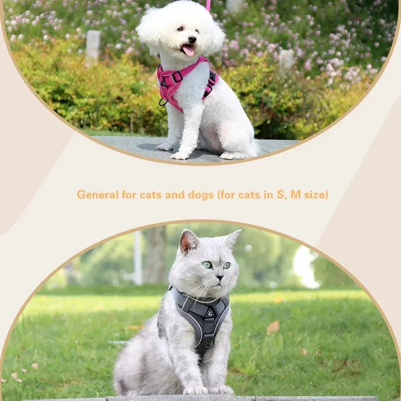 KOMMILIEF Adjustable Cat Harness Excel Pets