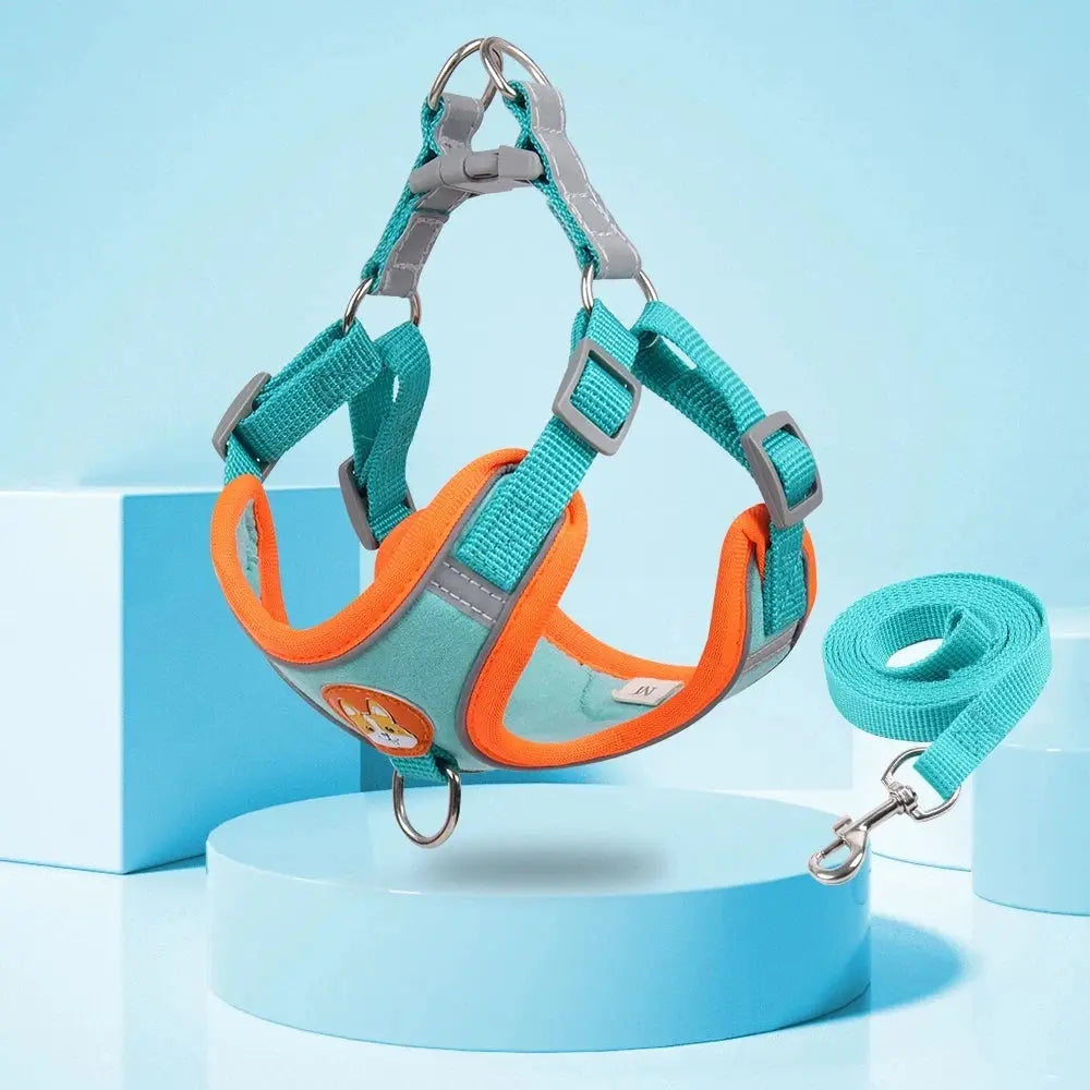 Step-in Dog Harness and Leash Set Excel Pets