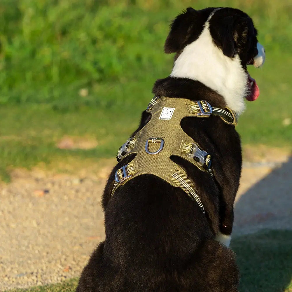 Adjustable Dog Harness with Handle Excel Pets